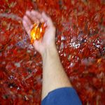 پخش گل وبلور جات و تنگ محمدی