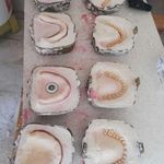 دندانسازی تخصصی سلامت (مهدوی)