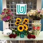 کلینیک روانشناسی صدرا