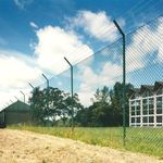 شیراز رابیتس