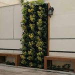 طراحی و اجرای دیوار سبز