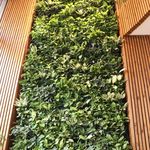 طراحی و اجرای دیوار سبز