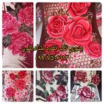 پخش پتو حقانی