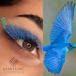 مرکز آموزش و خدمات اکستنشن و لیفت مژه و ابرو