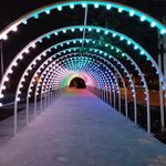 خوابگاه دانشجویی دخترانه رها فلاورجان