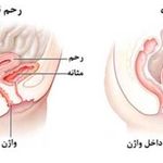مطب مامایی زهرا غلامی