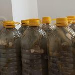 فروشگاه محصولات مواد غذایی