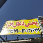 پخش ذغال افرا ( مخصوص و قلیانی و کبابی )