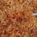 سبزیجات سیر تا پیاز