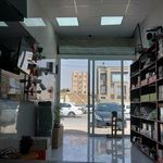 دیدبان الوند