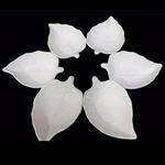 ظروف چینی وپذیرایی