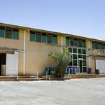 سبزیجات منجمد ویدا