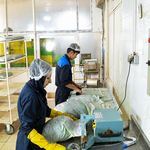 سبزیجات منجمد ویدا