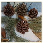 شمع سازی اوشیدا