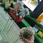 قصر گل موعود