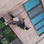 راپل(دسترسی با طناب )بدون نیاز به داربست