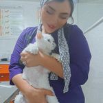 کلینیک و پت شاپ دامپزشکی نوازش