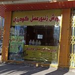 سوغات عسل لرستان