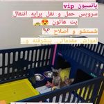 پانسیون و مهد حیوانات خانگی بتا پت
