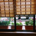 یوگا راه کمال هما اروندیان