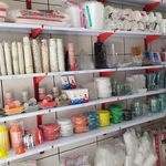 یکبار مصرف پائیزان