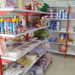 یکبار مصرف پائیزان