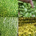 سبزیجات سیر تا پیاز