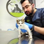 کلینیک دامپزشکی و پت شاپ اگزو