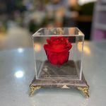 گلفروشی گل کویر