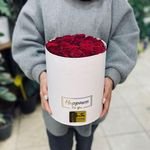 گلفروشی گل کویر