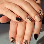 ناخن کار آزاده شورائی