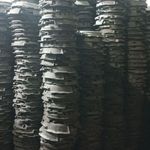 تولید کننده دیسک و صفحه محمدی