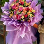 شیراز گل