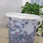 خرمای بهبهان