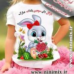 موسسه نی نی میکس