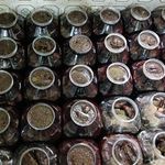 تولید و فروش ترشیجات و خیارشور و زيتون