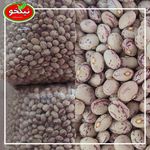 پخش مواد غذایی نیکخو