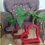 پخش گلدان وگلجا عمده وتکی