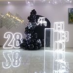 تشریفات تولد زیپلون بالن