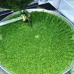 سبزیجات آماده مادر