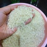 برنج چمپا میداوود و رامهرمزبامدیرت بوکان