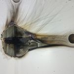 تعمیرات تلویزیون اورژانس tv