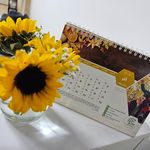 دکتر روانشناس مرکز روانپزشکی نیک مایند