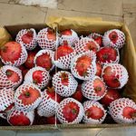 فرآورده های انار یاقوت شهرضا