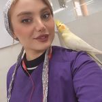 کلینیک و پت شاپ دامپزشکی نوازش