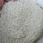 برنج عنبربو جنوب محصول شوشتر