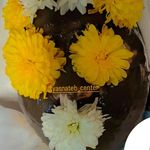 مطب پوست ،مو و لیزر یسنا طب