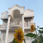 تولید و فروش سنگ ساختمانی