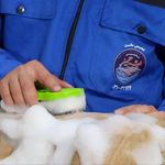 خدمات سمعی بصری