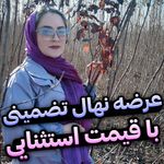 شرکت دنیز نهال پاشایی